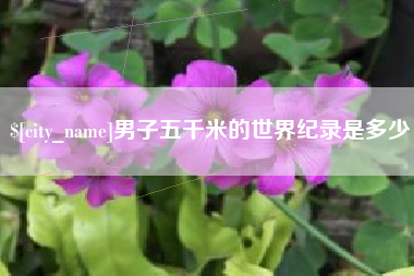 通许男子五千米的世界纪录是多少