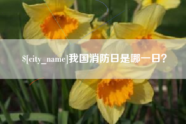通许我国消防日是哪一日？