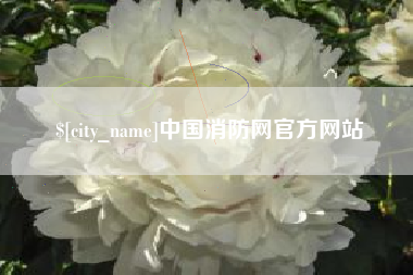 通许中国消防网官方网站