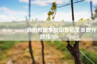 通许消防救援学院山东招生录取分数线2020