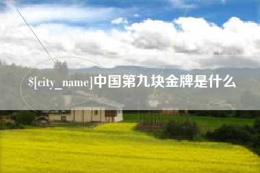 通许中国第九块金牌是什么