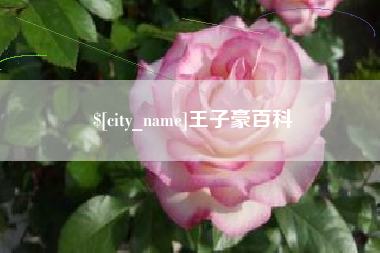 通许王子豪百科
