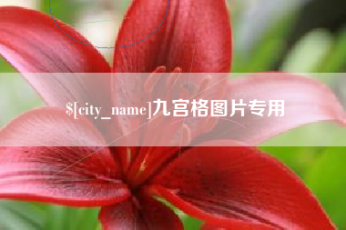 通许九宫格图片专用