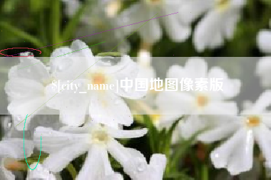 通许中国地图像素版