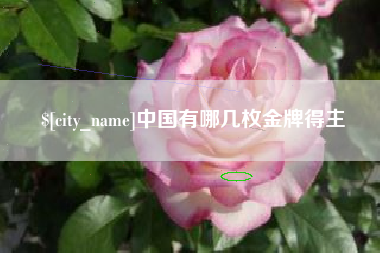 通许中国有哪几枚金牌得主