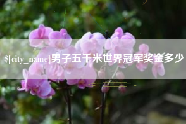 通许男子五千米世界冠军奖金多少