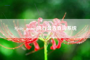 通许执行公告查询系统