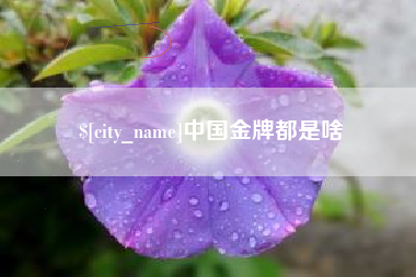 通许中国金牌都是啥