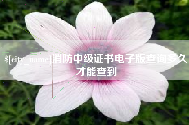 通许消防中级证书电子版查询多久才能查到