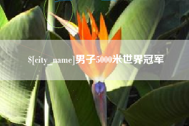 通许男子5000米世界冠军