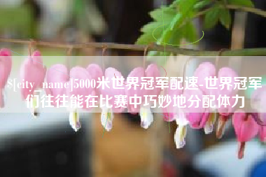 通许5000米世界冠军配速-世界冠军们往往能在比赛中巧妙地分配体力