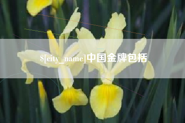 通许中国金牌包括