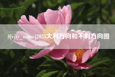 通许2025大利方向和不利方向图