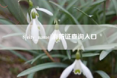 通许消防证查询入口