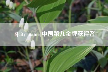 通许中国第九金牌获得者