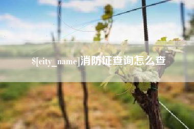 通许消防证查询怎么查