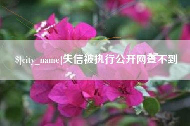 通许失信被执行公开网查不到
