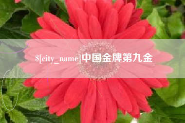 通许中国金牌第九金