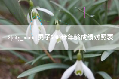 通许男子5000米年龄成绩对照表