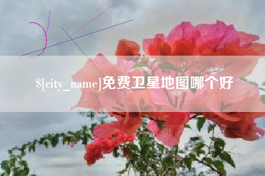 通许免费卫星地图哪个好