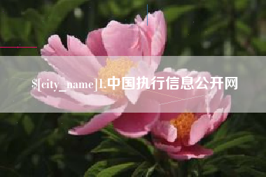 通许1.中国执行信息公开网