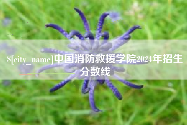 通许中国消防救援学院2024年招生分数线