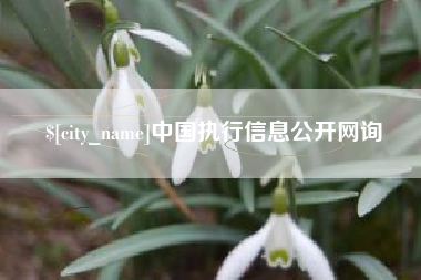 通许中国执行信息公开网询