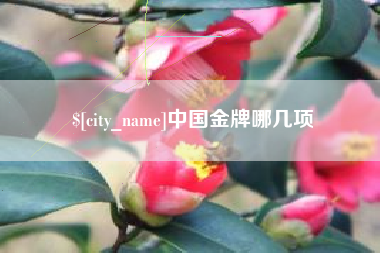通许中国金牌哪几项