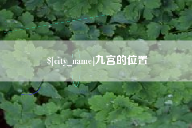 通许九宫的位置