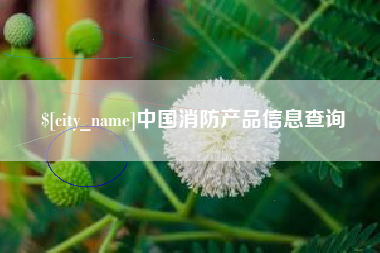 通许中国消防产品信息查询