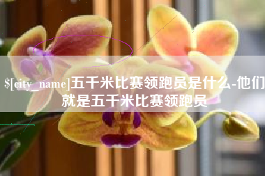 通许五千米比赛领跑员是什么-他们就是五千米比赛领跑员