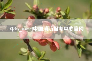 通许中国消防报考中心官网