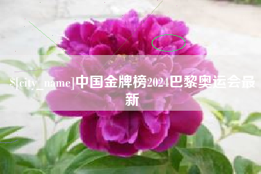 通许中国金牌榜2024巴黎奥运会最新