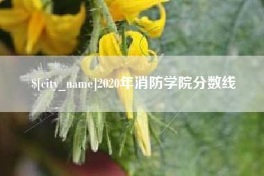 通许2020年消防学院分数线