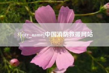 通许中国消防救援网站