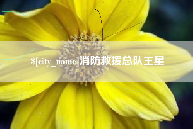 通许消防救援总队王星