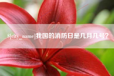 通许我国的消防日是几月几号？