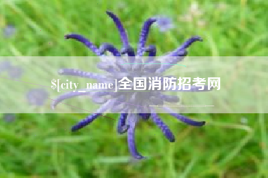 通许全国消防招考网