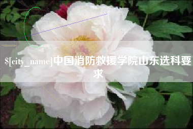 通许中国消防救援学院山东选科要求
