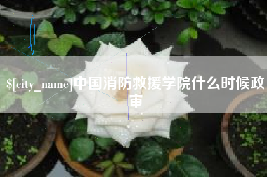 通许中国消防救援学院什么时候政审