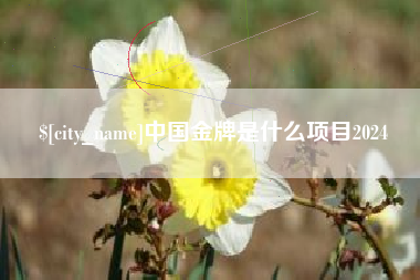 通许中国金牌是什么项目2024