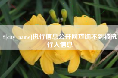 通许执行信息公开网查询不到被执行人信息