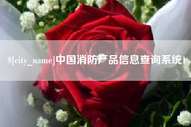 通许中国消防产品信息查询系统1