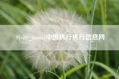 通许中国执行执行信息网