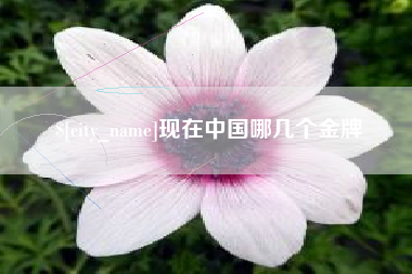 通许现在中国哪几个金牌