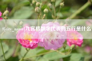 通许九宫格数字代表的五行是什么