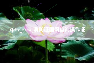 通许消防证国网查询操作证