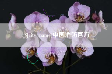 通许中国消防官方