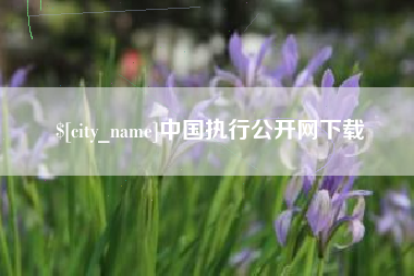 通许中国执行公开网下载