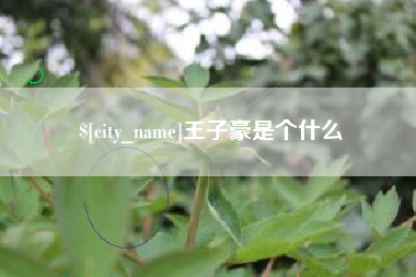通许王子豪是个什么